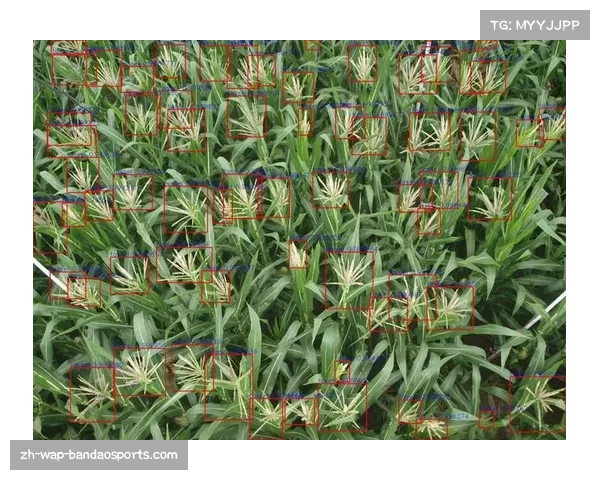 计算机视觉算法精准追踪羽毛球轨迹 击球质量评估有了客观标准